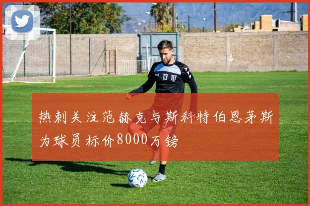 热刺关注范赫克与斯科特伯恩茅斯为球员标价8000万镑